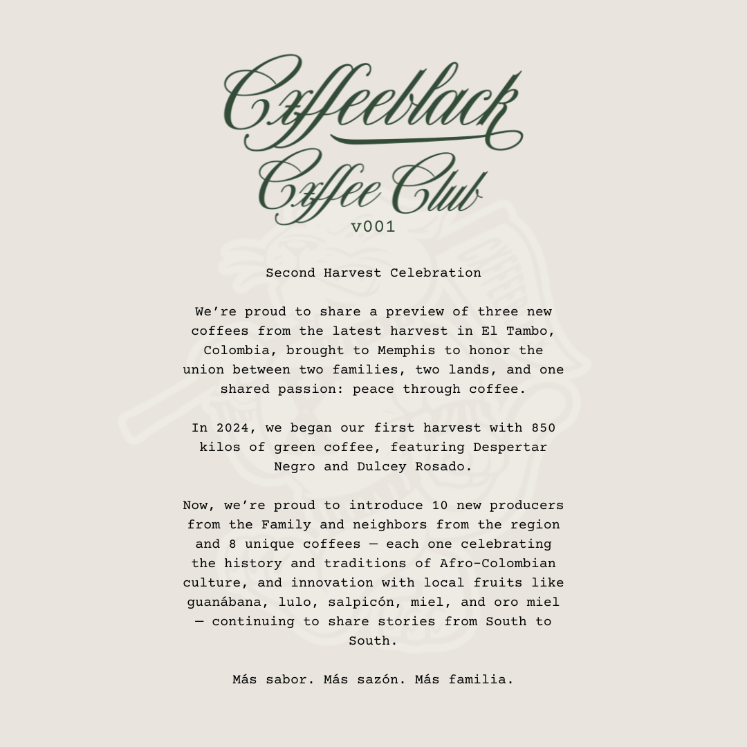 Cxffeeblack Cxffee Club Presents: Brew- Up with Café Solo