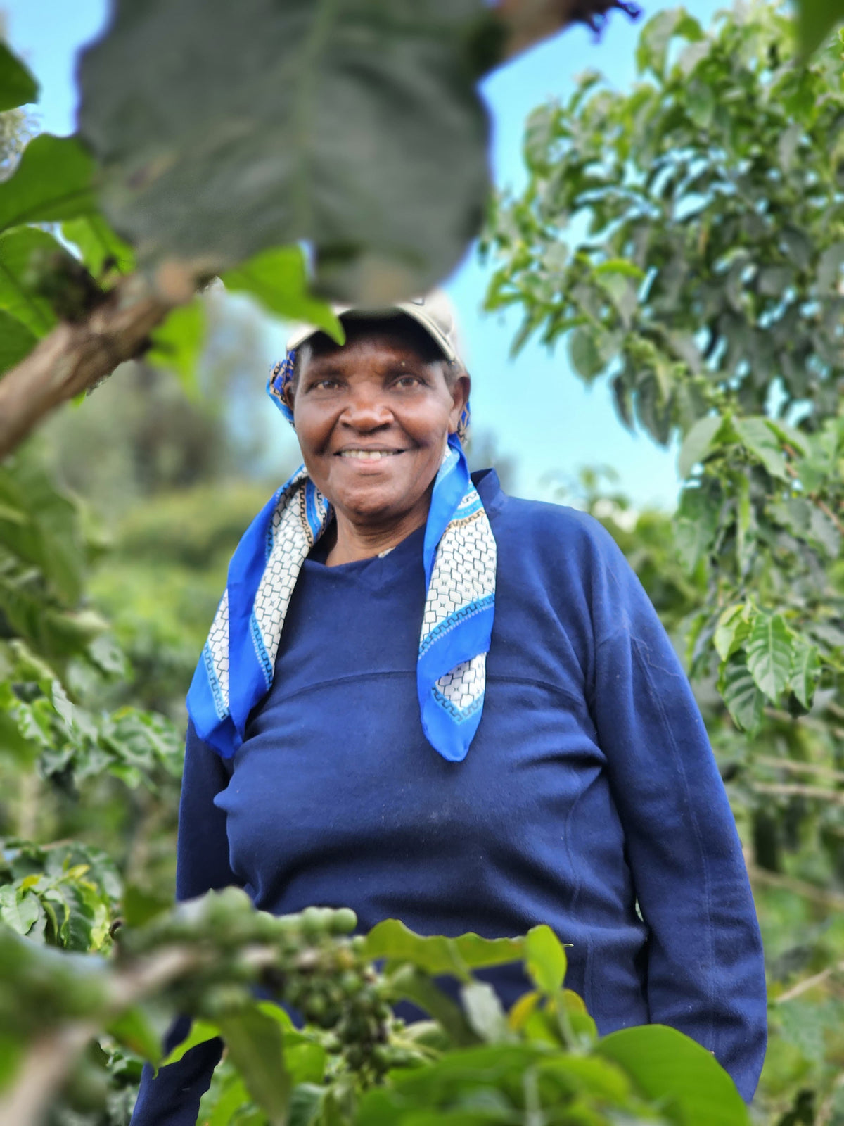 Fatherland: kenyan washed process SL28 x Ruiru 11 x Batian microlot // sourced from our kenyan fam Stephen & Margaret Kuria of Solai Coffee at Liwani Estate, Nakuru.