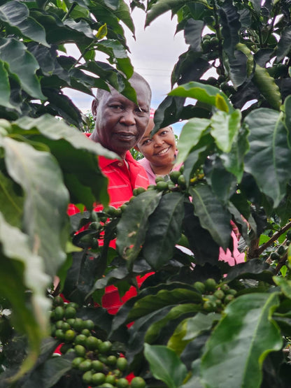 Fatherland: kenyan washed process SL28 x Ruiru 11 x Batian microlot // sourced from our kenyan fam Stephen & Margaret Kuria of Solai Coffee at Liwani Estate, Nakuru.