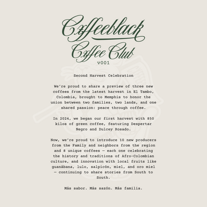 Cxffeeblack Cxffee Club Presents: Brew- Up with Café Solo