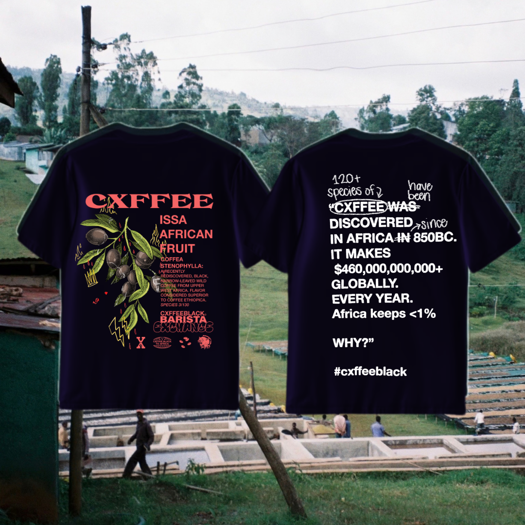 Cxffeeblack Barista Exchange at Program Drop [#3] ( cxffea stenophylla. Issa african fruit. ☕️🍒🌍)